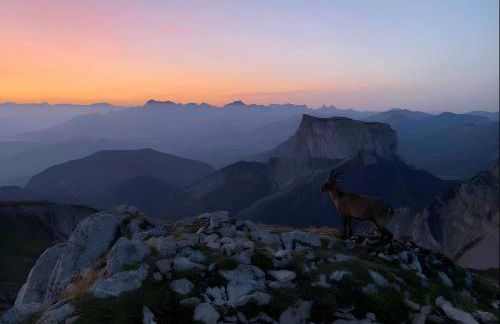 Gîte Crèmouille - Foto 18