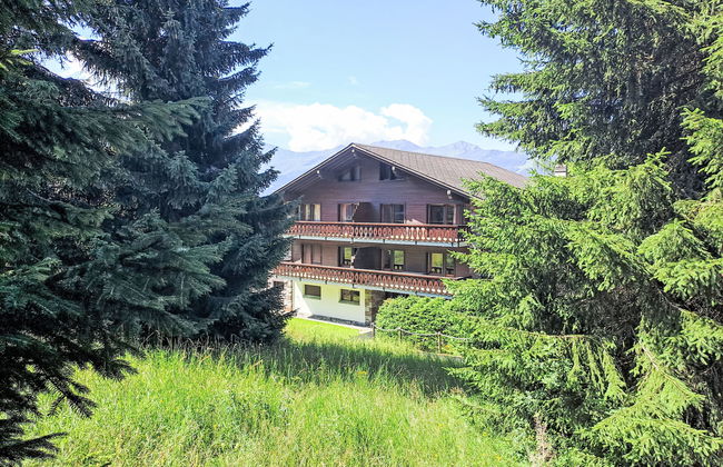 Diure 0113 - Foto 13