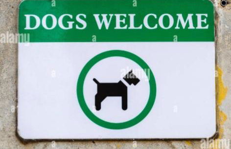 Appartamento DANIELA - Foto 5