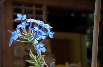 La Casetta di Ross - Foto 46