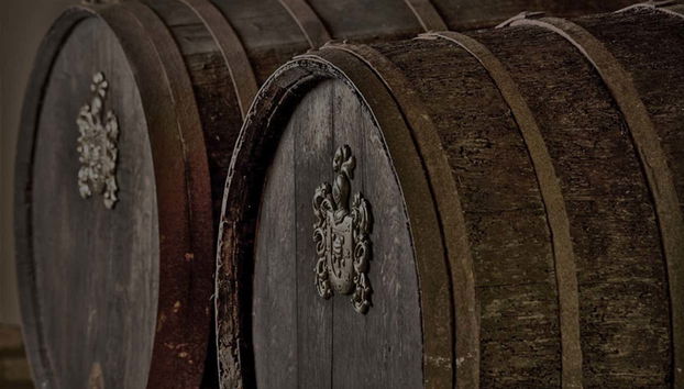 Tour in La Palma del Condado - Photo 5