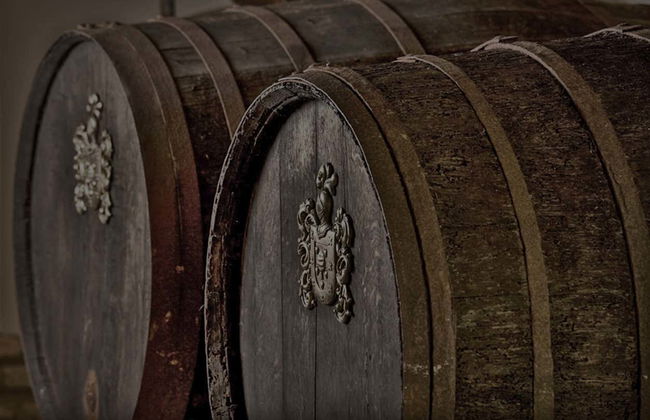 Visita alle cantine Rubio de Luis Felipe - Foto 5