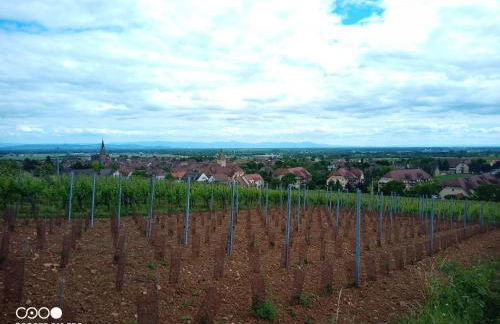 Bergheim Piscine - Foto 35