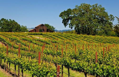 Charming Sonoma Cottage 2BD and 2BA Close to Plaza - Foto 19