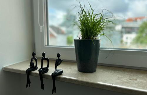 HÖL-Moderne Wohnung in zentraler Lage, Schallschutzfenster, 24h-Self-check-in, Disney Plus - Foto 24