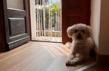 Apartment Cà Dai Noni - Family & Pet Friendly - Terrace - Near Lake Maggiore - Foto 48