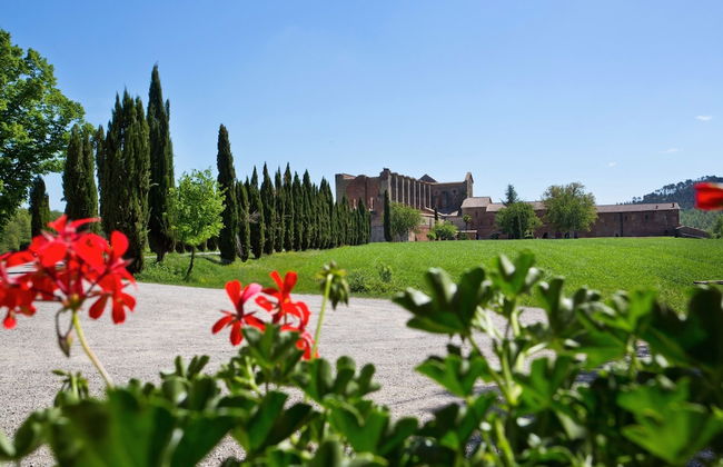 Agriturismo San Galgano - Foto 55