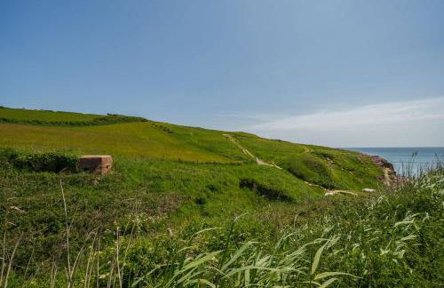 The Billy Shed - Photo 19