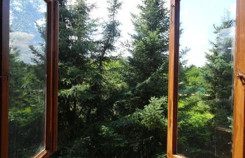 Maison Xu - Le Chalet - Fireplace - River Beaches - Parking Garden Terrace - Foto 21