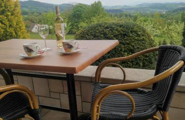 Jaworowy Stok z widokiem na góry i ogrodem - Foto 29