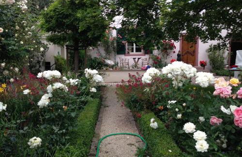 Fewo im Barockhaus Groß-Winternheim - Foto 20