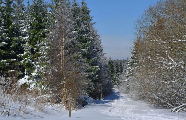 Comfortable, Renovated House With a Microwave, Near Vielsalm - Foto 78