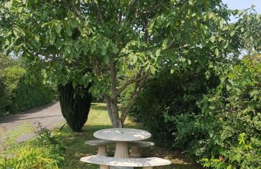 independent apartment in house with 3 bedrooms - Foto 25