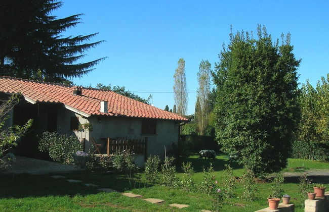 Olive Tree Hill - Foto 20