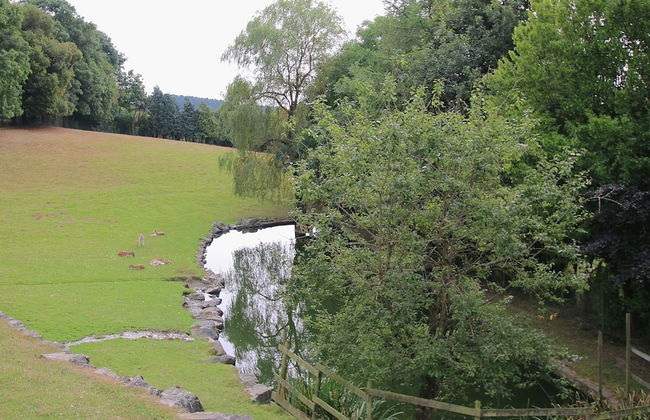 Luxurious Holiday Home With Sauna in Fauvillers - Foto 25