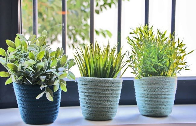 Kopke2 · Kopke Terrace Wifi · Private Terrace - Foto 22