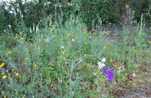 Dromore House Historic Country house - Foto 42