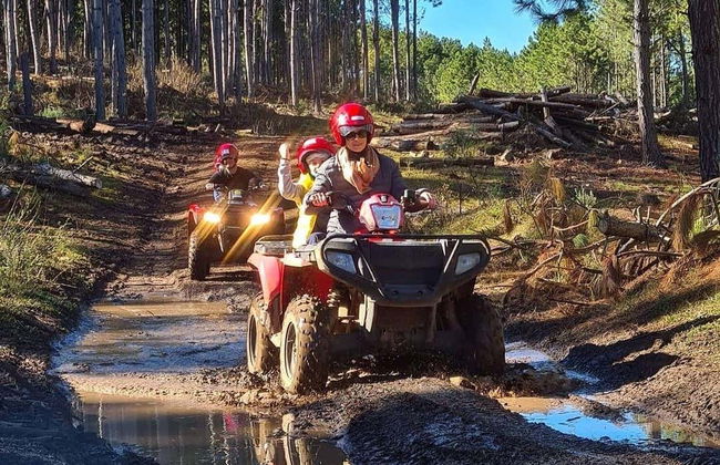 Mushroom Picking Quad Tour - Photo 4