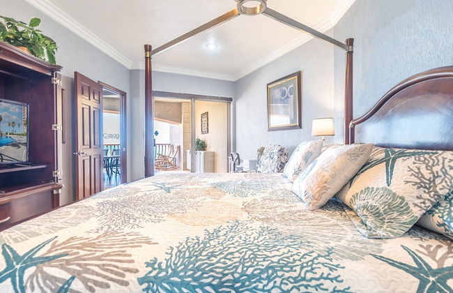 Sonoran Sun II - Foto 70