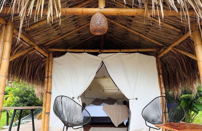 encanto Toscano - Photo 2