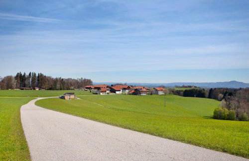 Lackner - Foto 19