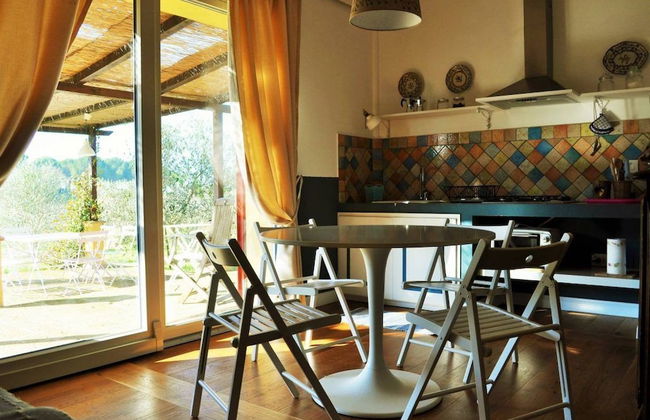 Podere L'Olmaia - Foto 12