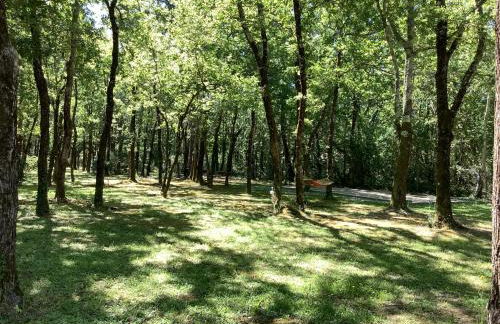 La Morandiere - Foto 43