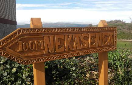 Nekasenea II - Foto 8