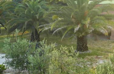 Agriturismo Il Granaio Faenza - Foto 8