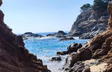 Lloret apartment & parking - Foto 51