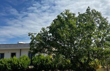 Agriturismo Molle - Foto 12