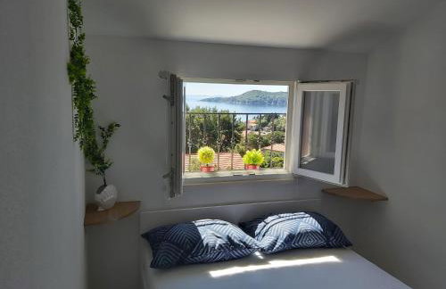 Anita Prižba - Foto 48