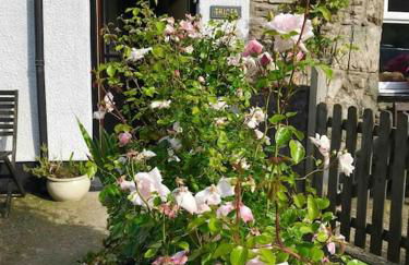 HOLIDAY HOUSE TANYGRISIAU SNOWDONIA North Wales - Foto 6