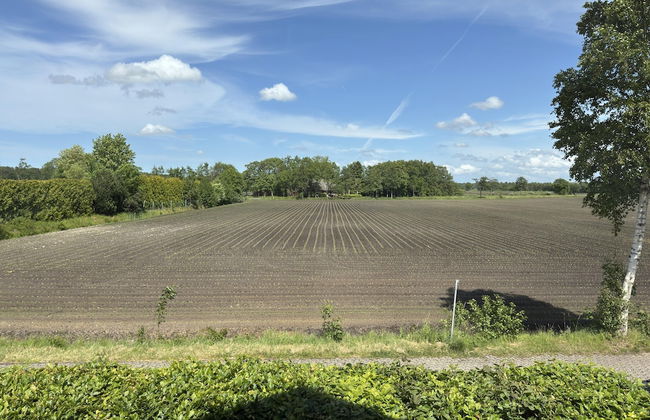 Ferienwohnung in Moorhusen - Foto 31