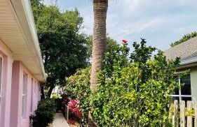 Casa Flamingo - Foto 23