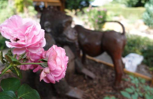 Largee 5 Bed House, Sleeps 10 Near NEC, BHX, HS2 - Foto 28