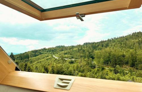 Apartament z sauną i jacuzzi na wyłączność - Sikorówka - Dobre Miejsce - Foto 33