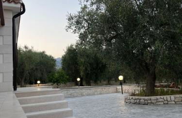 Domus Caruso - Foto 7