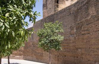 Murallas de Sevilla Apartamento con garaje 4 pax - Foto 28