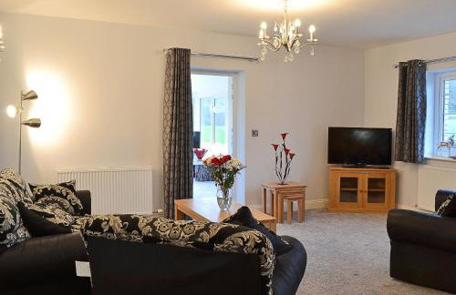 Maes Rheidol - Foto 3