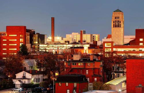 Downtown Ann Arbor 2 King Bed Balcony Apartment - Foto 20