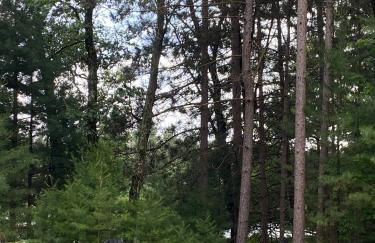 New Listing 2BR/2BA on Trout Lake HotTub & Firepit - Foto 12