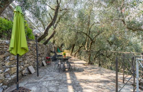 Apartment Ulivo by Interhome - Foto 2