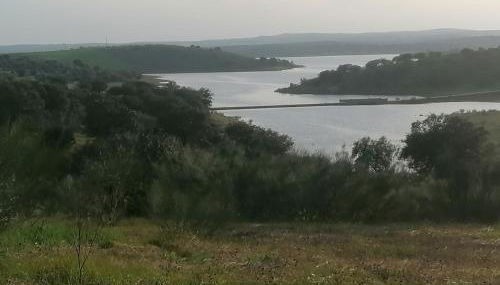 Monte da contenda - Foto 4