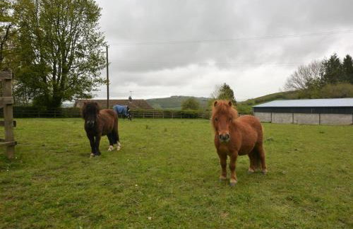 2 Bed in Presteigne oc-75066 - Foto 22