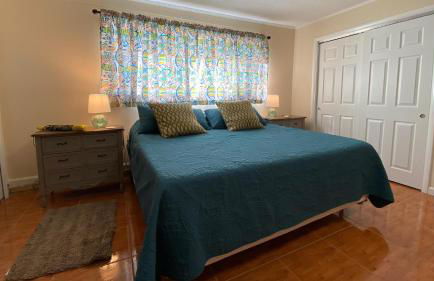 Cuddlefish - Foto 27