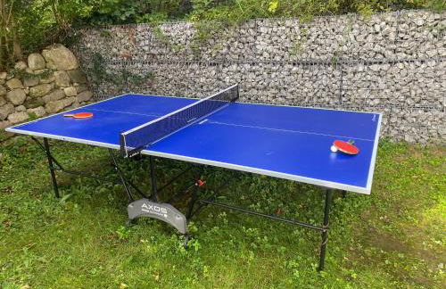 Gemütliche und voll ausgestatette 2 Zimmer Ferienwohnung am Wörthsee mit Terrasse, Grill, Schaukel, Doppelbett oder getrennte Betten fußläufig zu S-Bahn nach München und See, ideal zum Entspannen aber auch zum Arbeiten - Foto 17