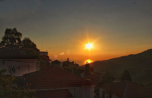 House of Gardenia - Photo 10