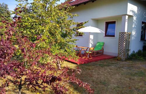 Apartamenty Zielona Góra - Foto 33