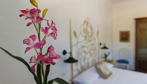 Finca las Pecas - Foto 3